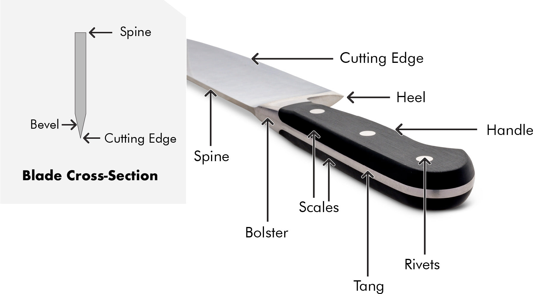 German Double-Bevel Full Bolster Anatomy Perspective Diagram