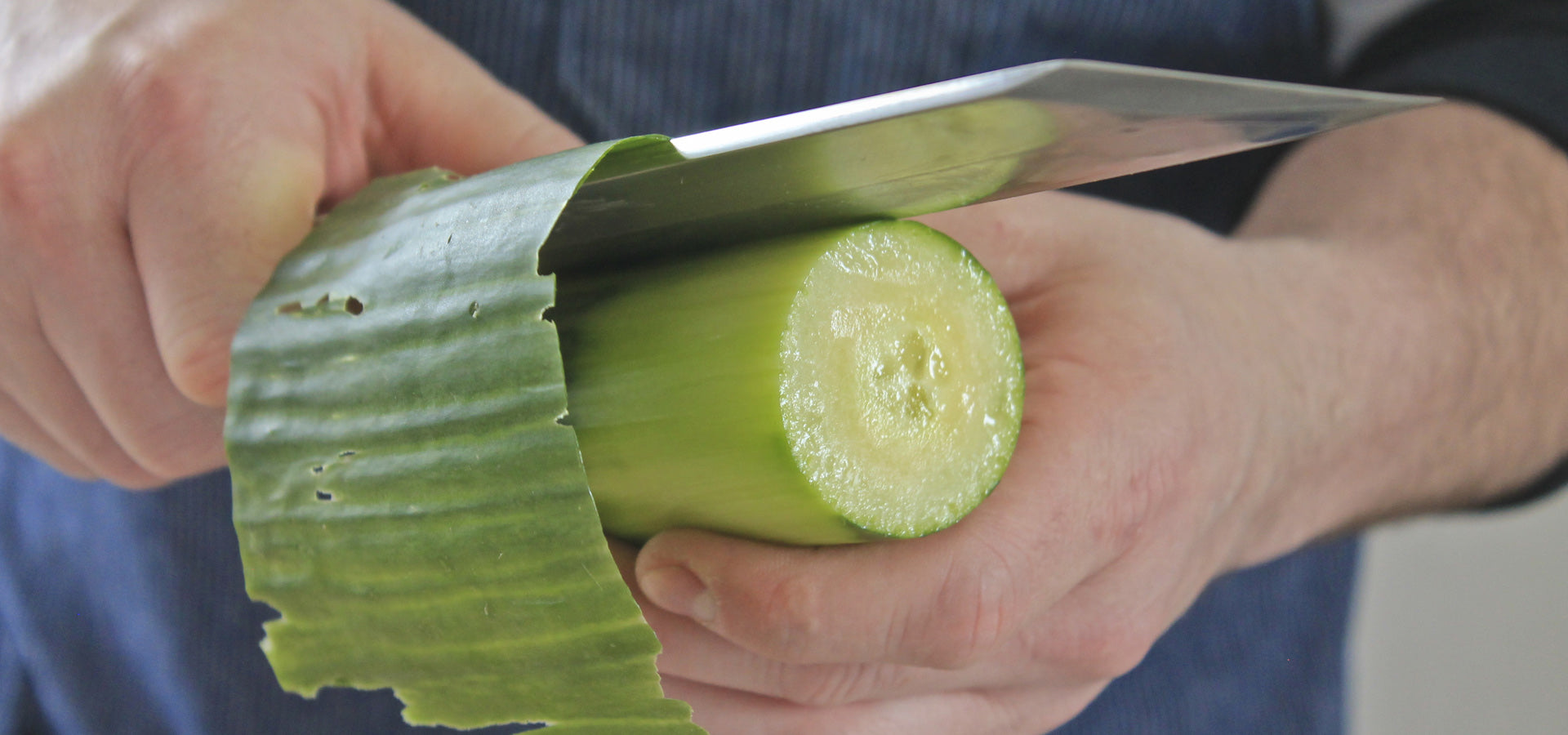 Japanese Style Chef Knife Peeling Cucumber Skin