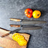 3 Piece Knife Set Steelport Knife Co. - Element Knife Company