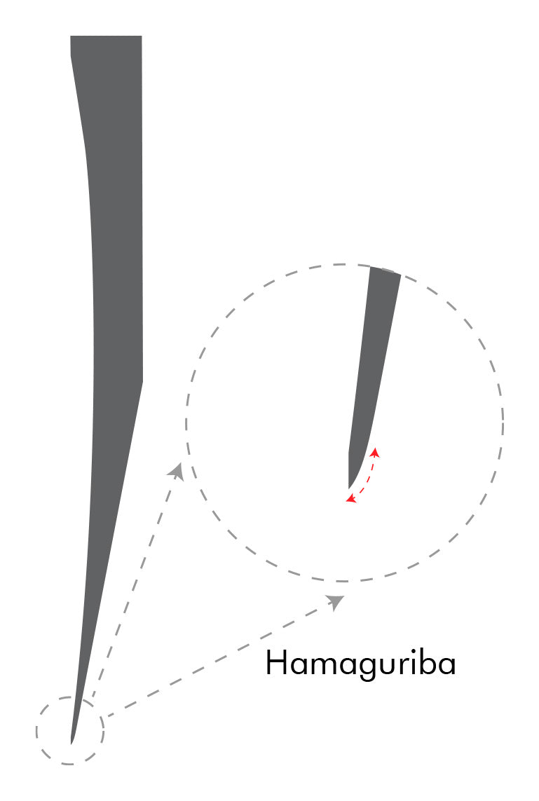 Single-Bevel Hamaguriba Diagram