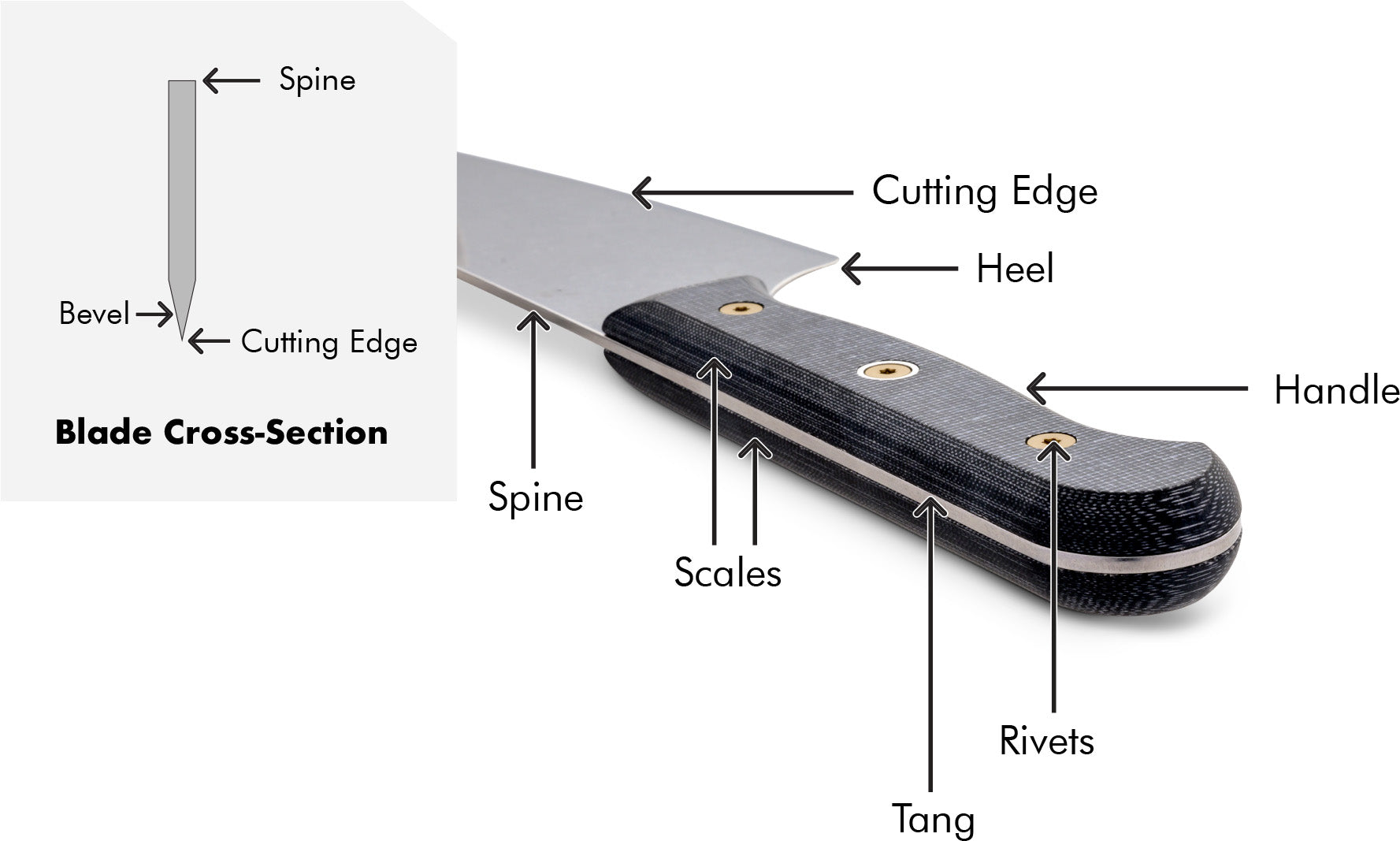 German Double-Bevel No Bolster Anatomy Perspective Diagram