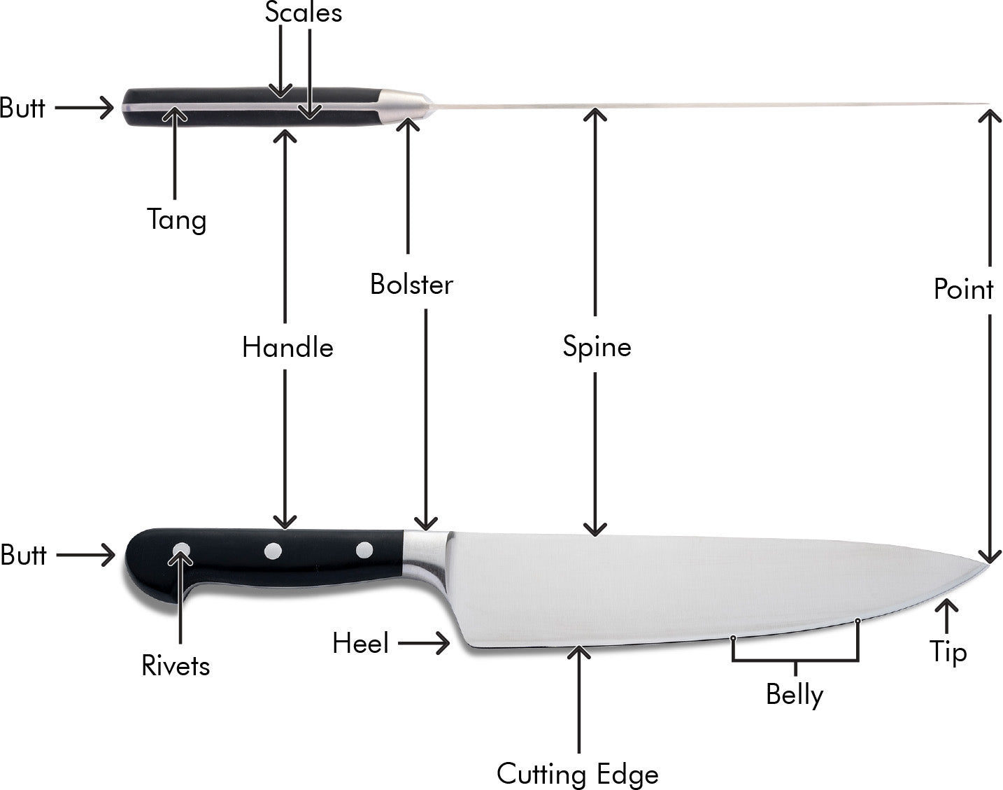 German Double-Bevel Half Bolster Anatomy Diagram