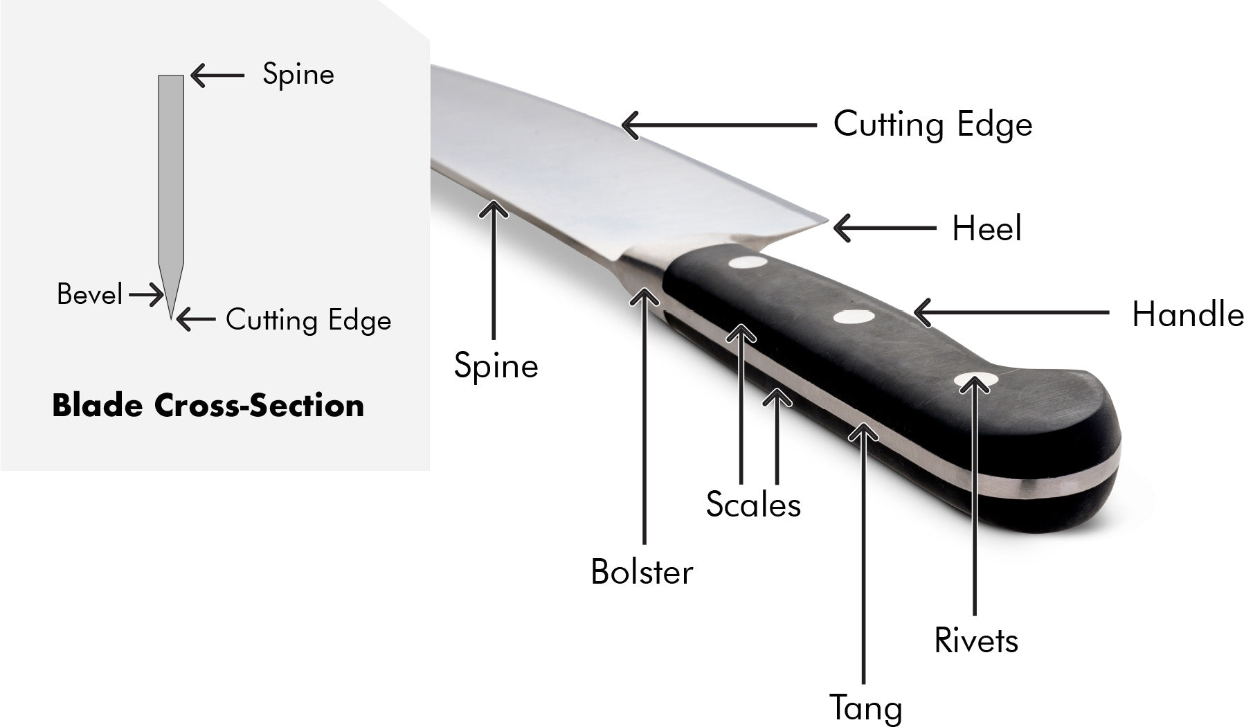 German Double-Bevel Half Bolster Anatomy Perspective Diagram