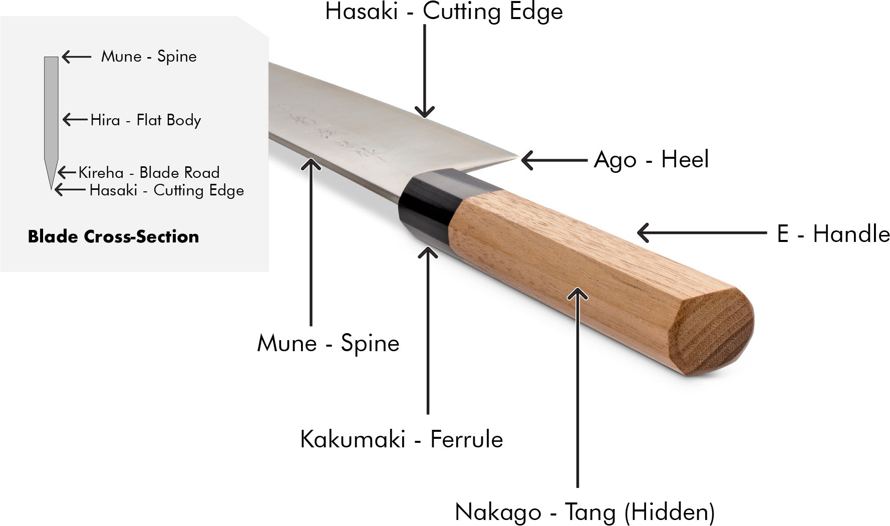 Japanese Double-Bevel Wa Handle Knife Anatomy Perspective Diagram