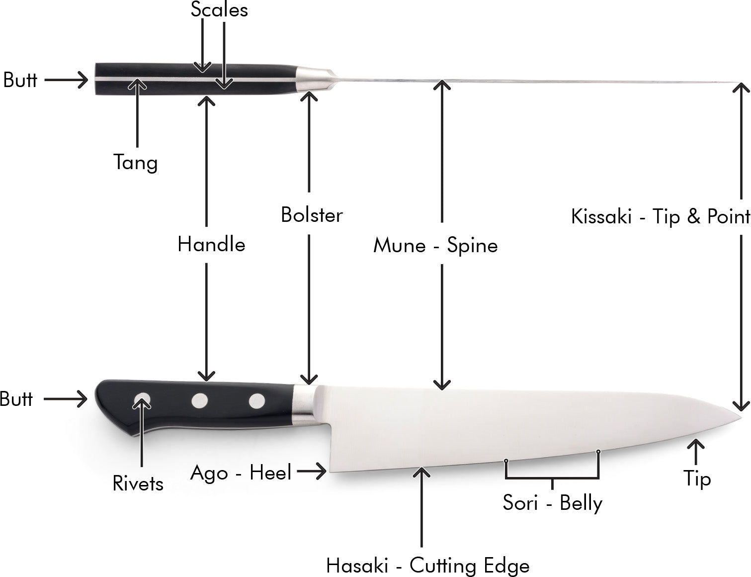 Japanese Double-Bevel Western Handle Knife Anatomy Diagram