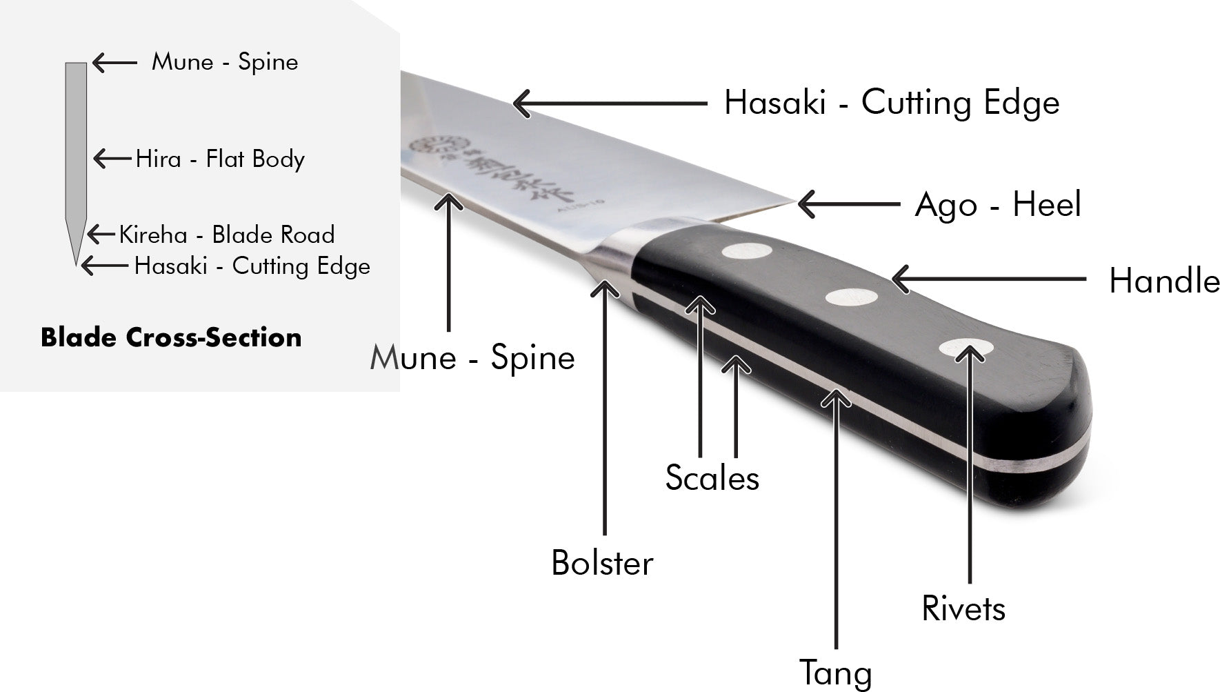 Japanese Double-Bevel Western Handle Knife Anatomy Perspective Diagram