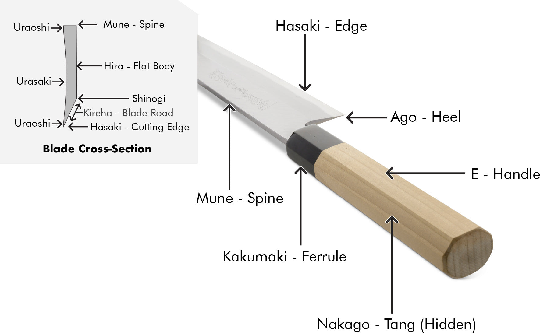 Japanese Single-Bevel Wa Handle Knife Anatomy Perspective Diagram