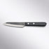 Shigeki Tanaka Blue 2 Kurouchi Tsuchime Stainless Clad Petty 120mm Back