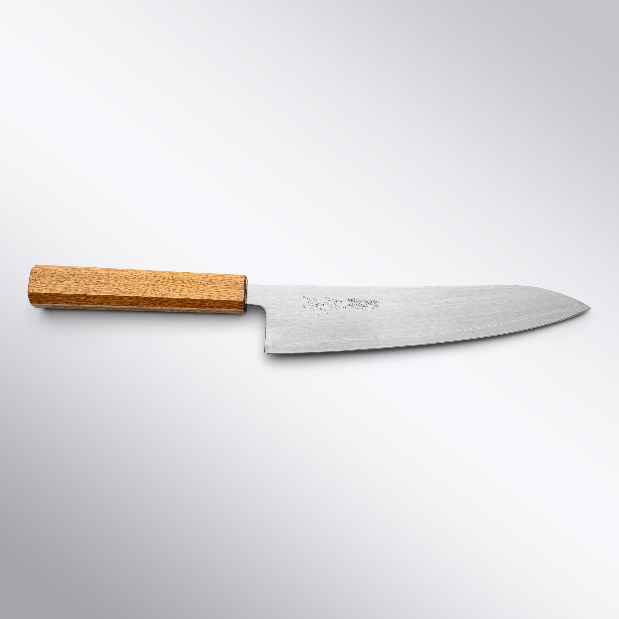 Touroku Sakai HAP40 Stainless Clad Gyuto 210mm Front