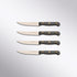 Custom 4 Piece Steak Knife Set Messermeister - Element Knife Company