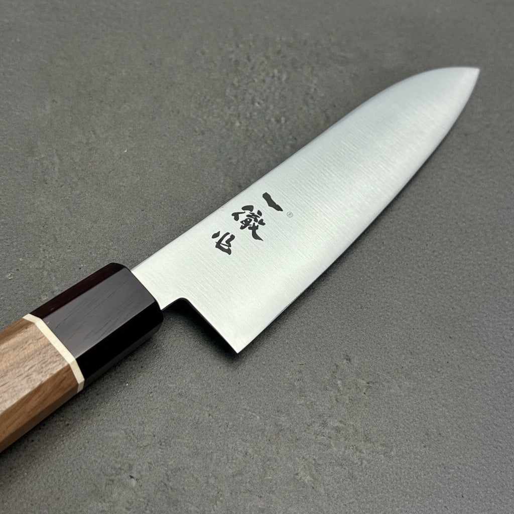 Ittetsu Blue Super Stainless Clad WASA Gyuto 180mm Ittetsu - Element Knife Company