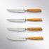 Oliva Elite 4 Piece Steak Knife Set Messermeister - Element Knife Company