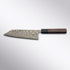 Takeshi Saji SG2 180mm Bunka Saji Knives - Element Knife Company