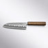 Touroku Sakai Blue Super Stainless Clad Hammered Santoku 165mm Touroku Sakai - Element Knife Company