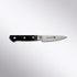 Kikuichi Cutlery AUS-10 Paring Knife